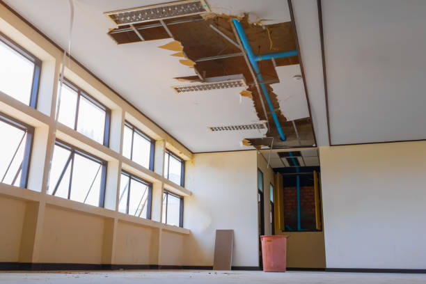 Best Professional water damage repair  in Buena Vista, CO