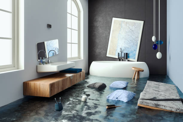 Best Water damage restoration near me  in Buena Vista, CO