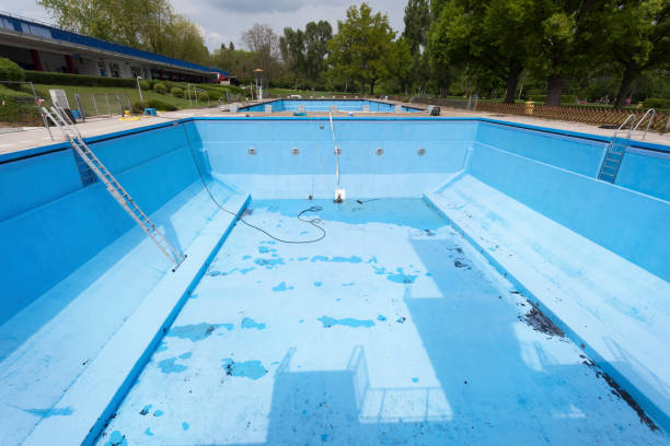 Best Water damage restoration experts  in Buena Vista, CO