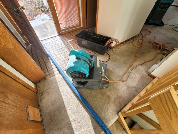 Best Emergency water extraction  in Buena Vista, CO