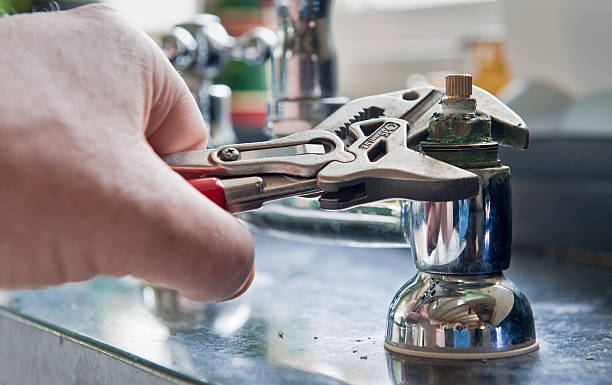 Best Professional water damage repair  in Buena Vista, CO