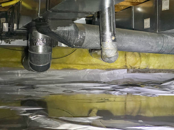 Best Water damage restoration near me  in Buena Vista, CO