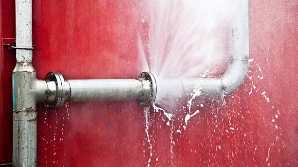 Best Flood damage cleanup  in Buena Vista, CO
